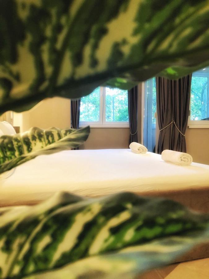 Spa Pleasure Apartman نوفي ساد المظهر الخارجي الصورة